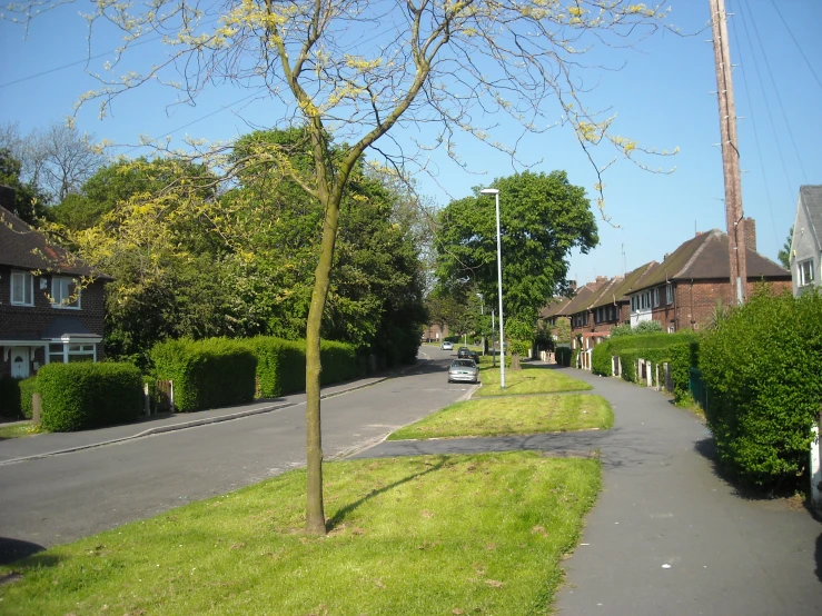a street is lined with trees and houses
