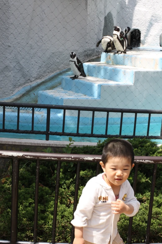 a little boy is standing by a fence and looking up