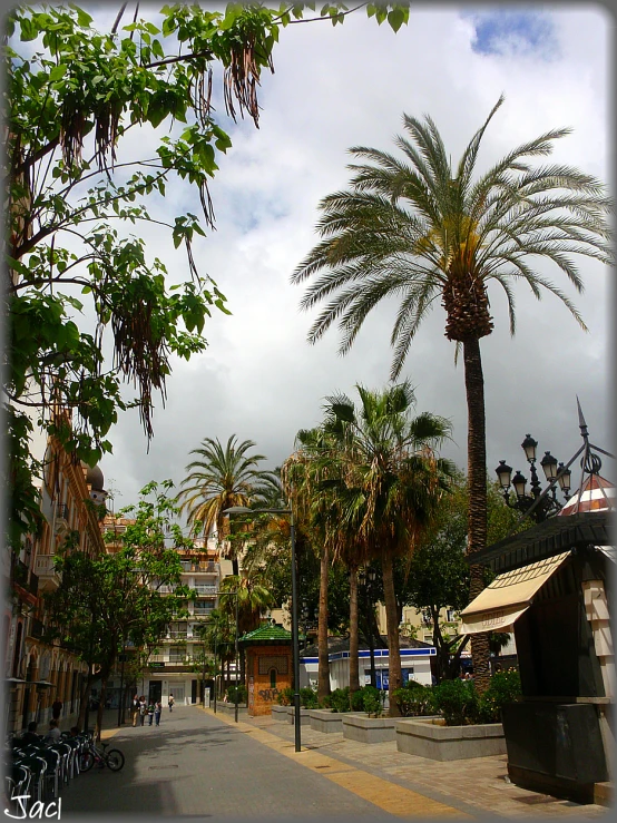 a road with palm trees and other street decorations
