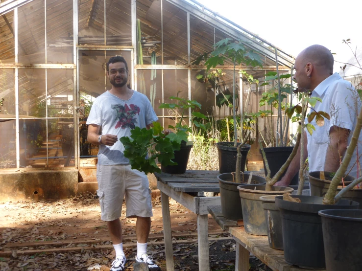 the man standing is holding a large potted plant and another person standing by it