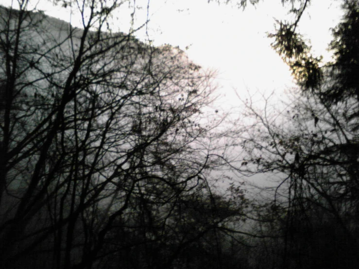 a view of trees looking down in the distance