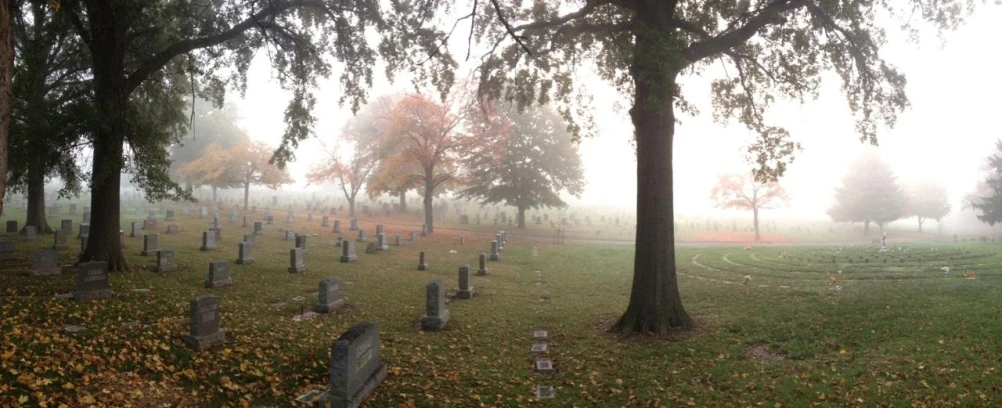 a graveyard surrounded by lots of trees with leaves