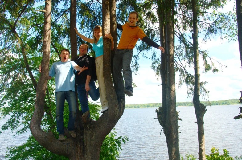 s hanging out in tree tops in front of water