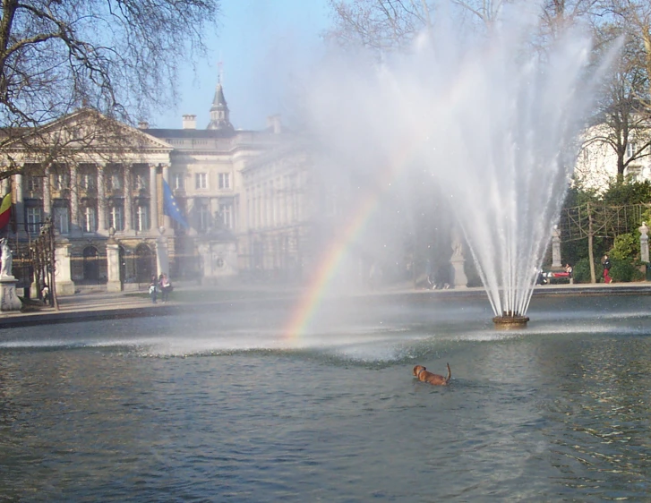 a large water fountain with a duck swimming in it