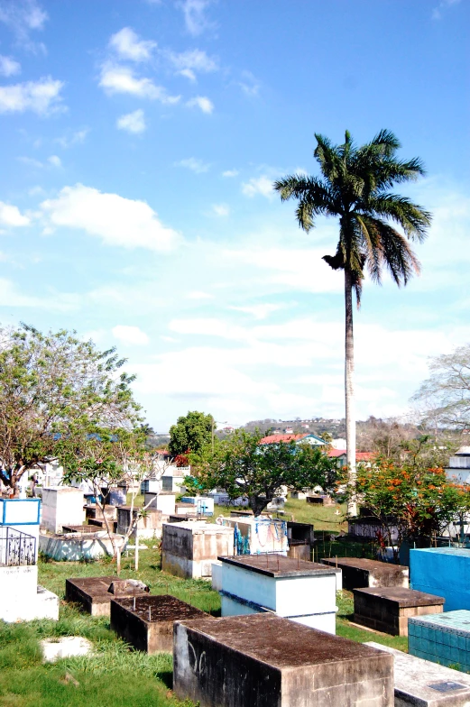 a view of a cemetery with lots of headstones and trees