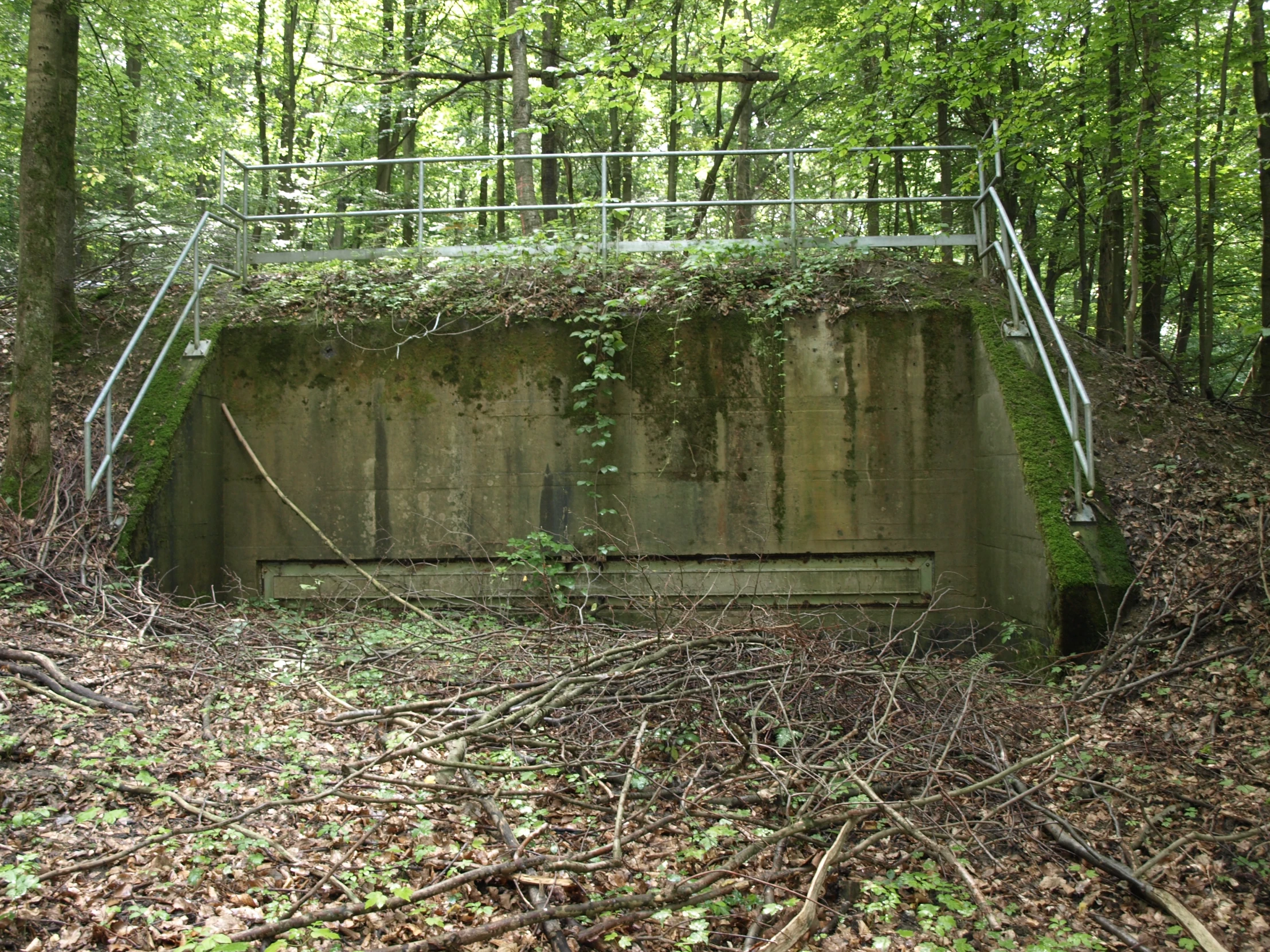 an old concrete overpass in a lush forest