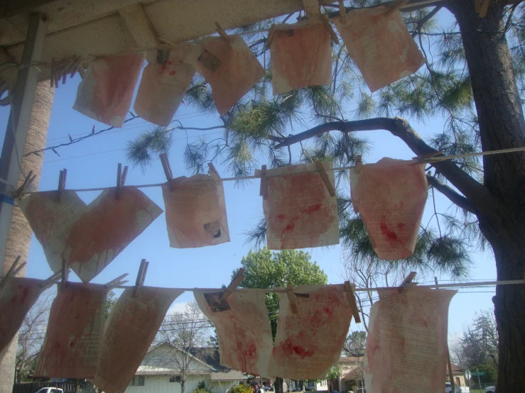 tea bags hanging on clothes lines near a tree