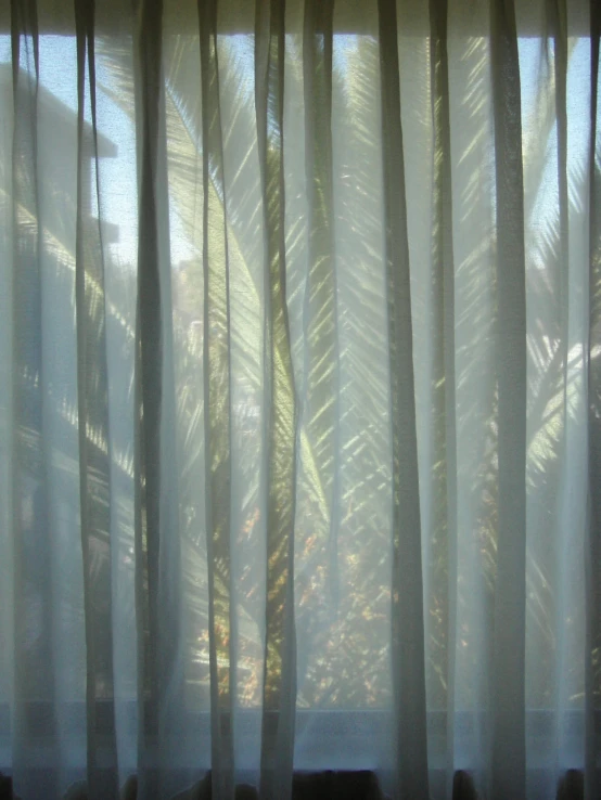 a curtain with palm trees seen through the top