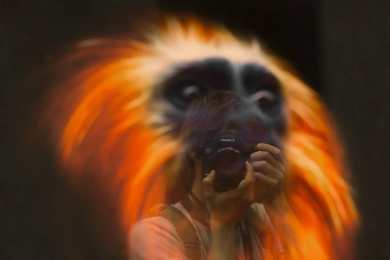 a monkey in flames holds up a camera with his hands