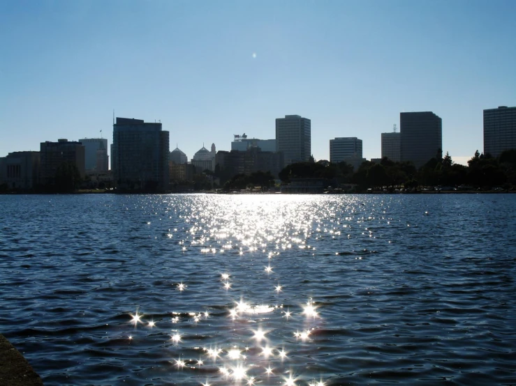 the water with a view of a city and trees