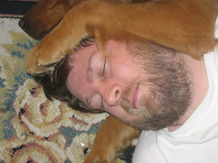 a man is laying on a dog and is taking a nap