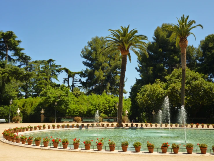 there is a large pond with fountains and trees