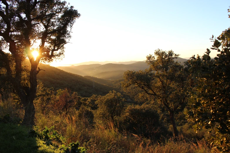 a scenic view of mountains and trees at sunset