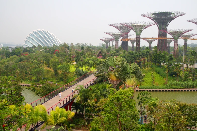 people walk across a bridge in an asian park