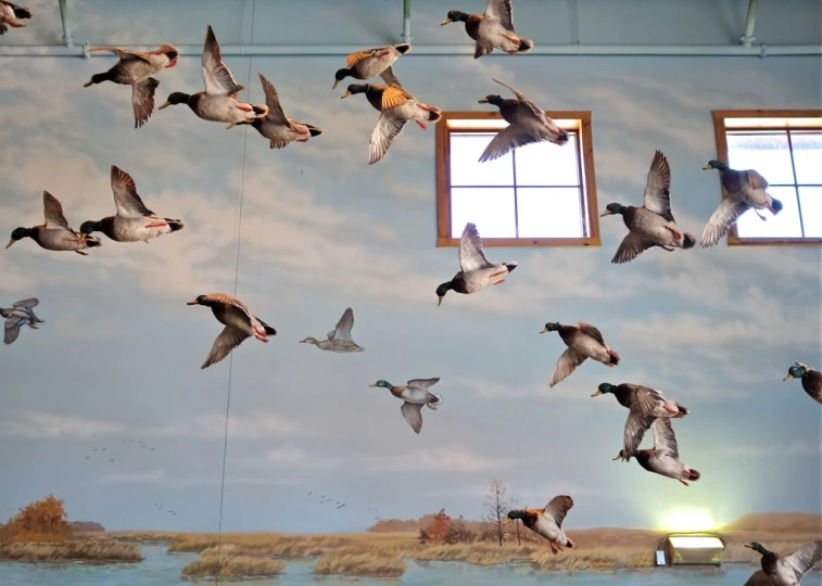 a group of birds fly overhead to the sky