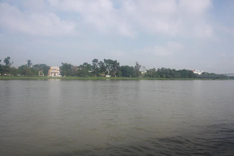 a body of water with several trees around it