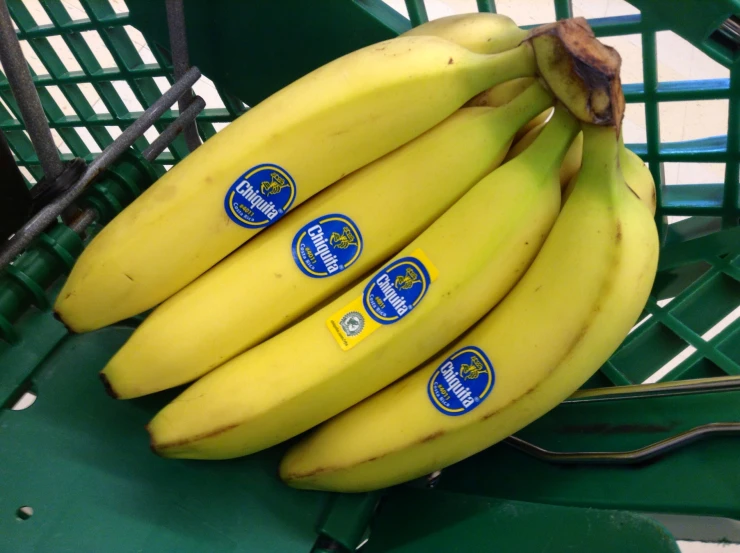 three bunches of ripe bananas sitting on top of a green bin