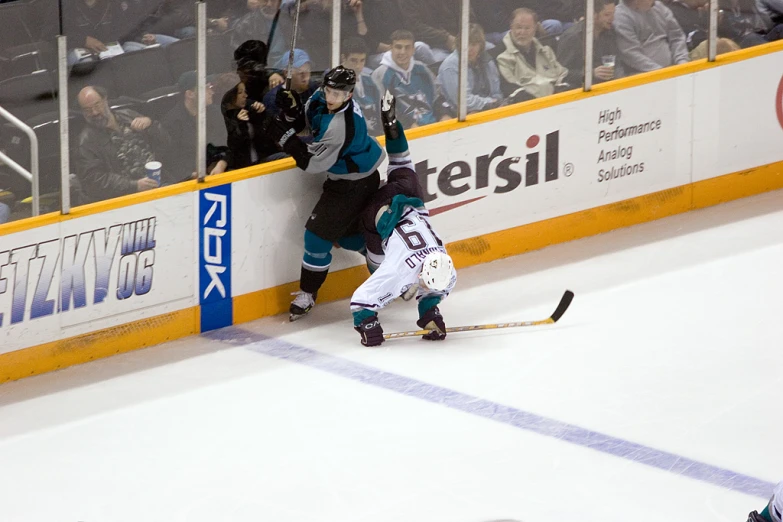 two people trying to figure out what is on the ice