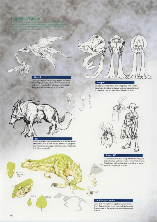 an illustrated diagram shows animals on various types of clothing