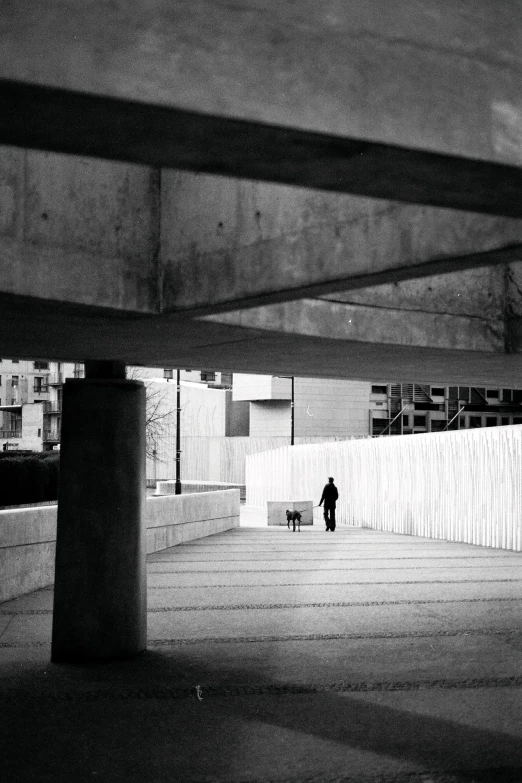 an image of man and his dog walking under a bridge