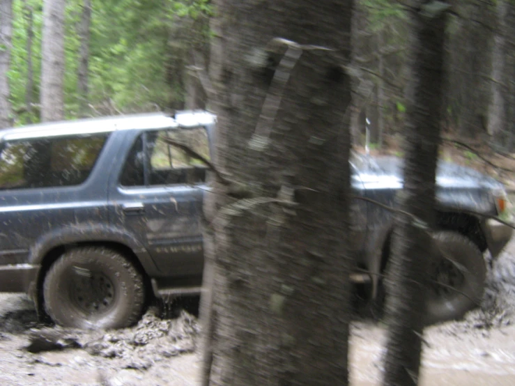 a pickup truck stuck in the mud near a tree