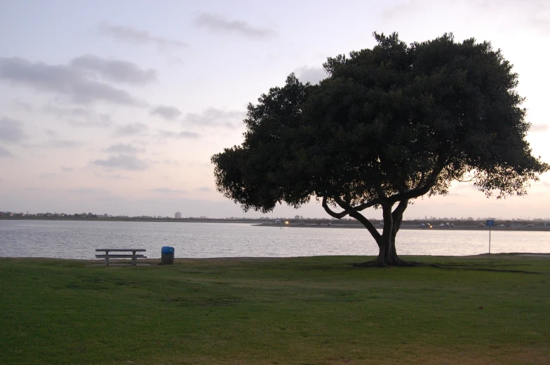 the view of water with a bench on it