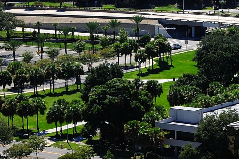 an aerial view of palm trees, traffic and walkway
