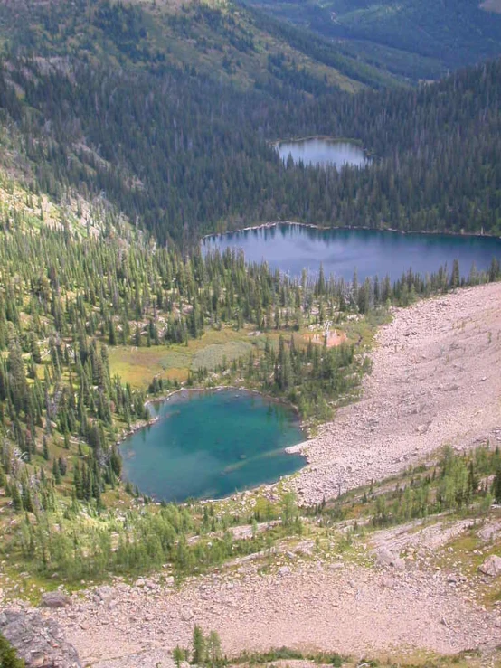 a river surrounded by pine and rocks near mountains