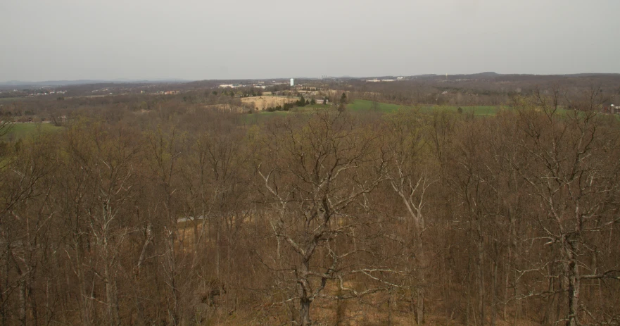 an aerial view of an open field with trees on either side