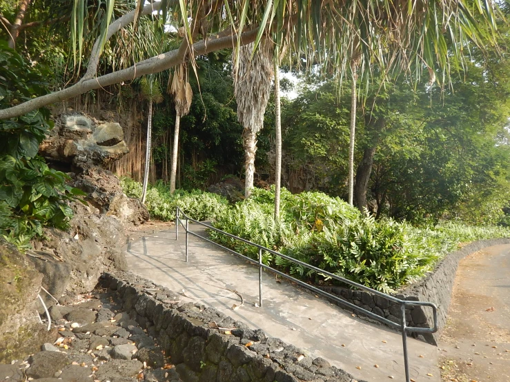 a set of stairs leading to a park
