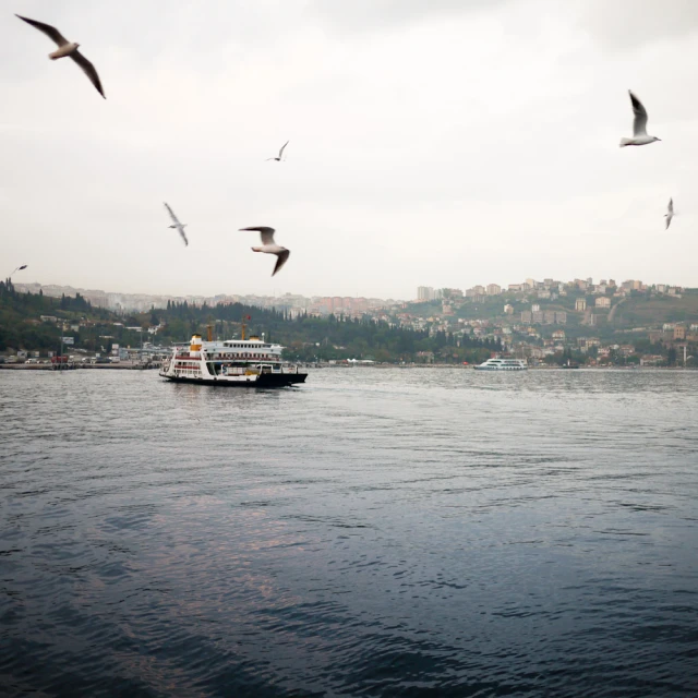 a cruise ship out on the water with seagulls flying around