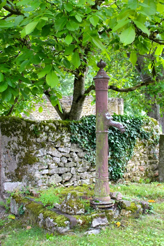 a rusty cross in an overgrown garden near a wall