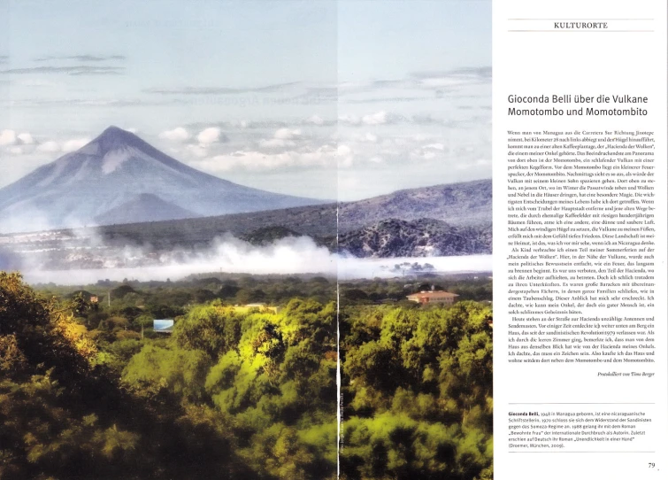 a picture of trees and mountains with smoke coming from the top