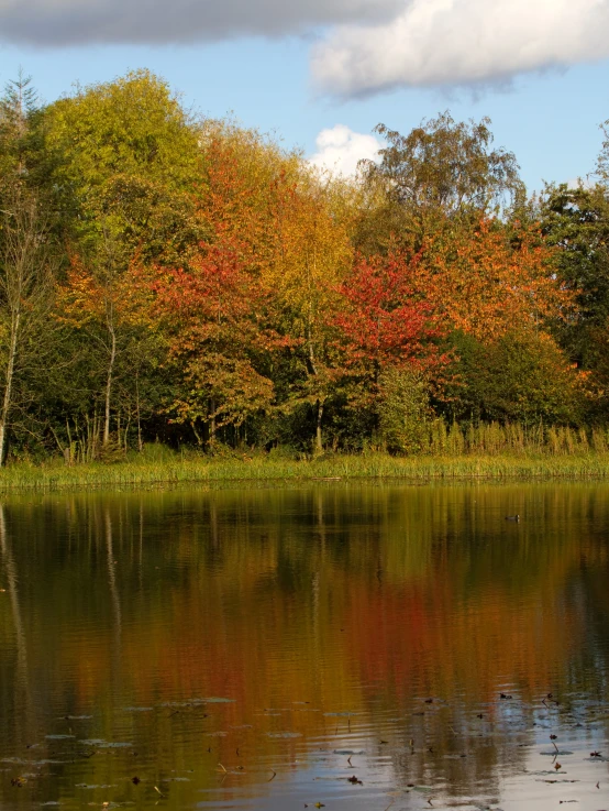 a body of water surrounded by trees with orange and green foliage