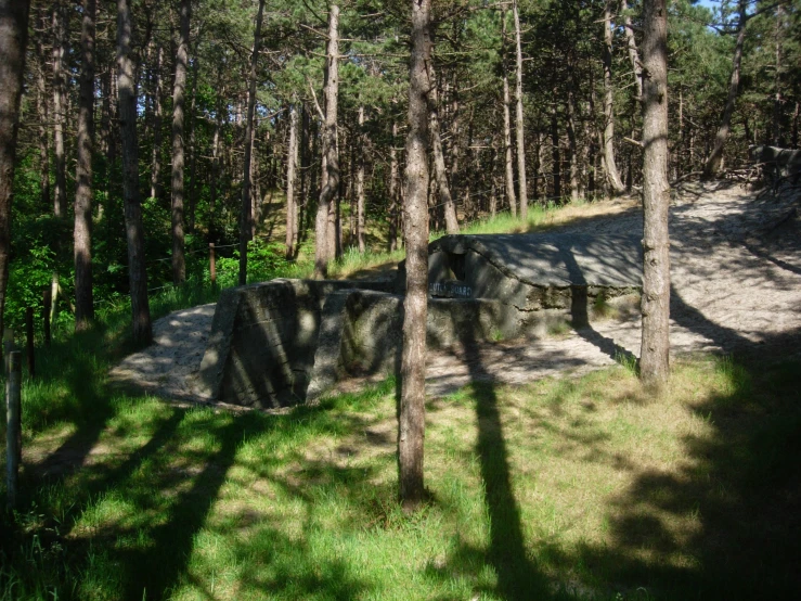 a path leading to the top of a hill and in the middle of trees