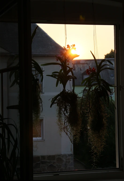 a house is seen through an open window