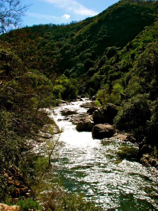 the water in the river looks like it was once in a natural world