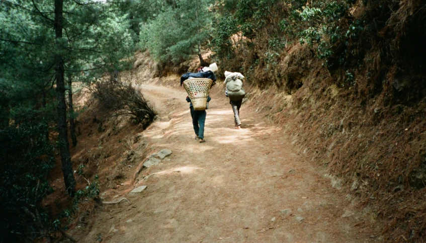 two people walking on a path in the woods