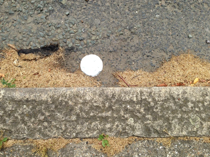 a small round object is next to an asphalt road