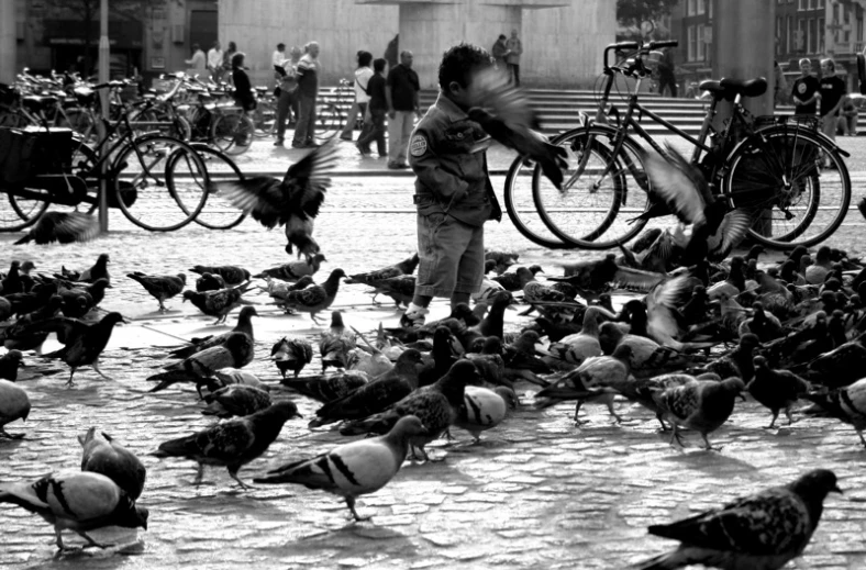 a man is feeding pigeons on the ground