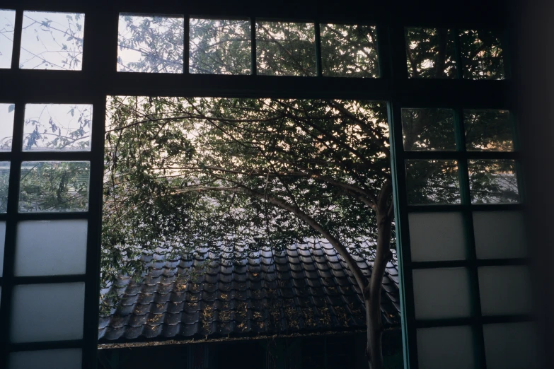 a window on a house looking outside with an open pane showing trees