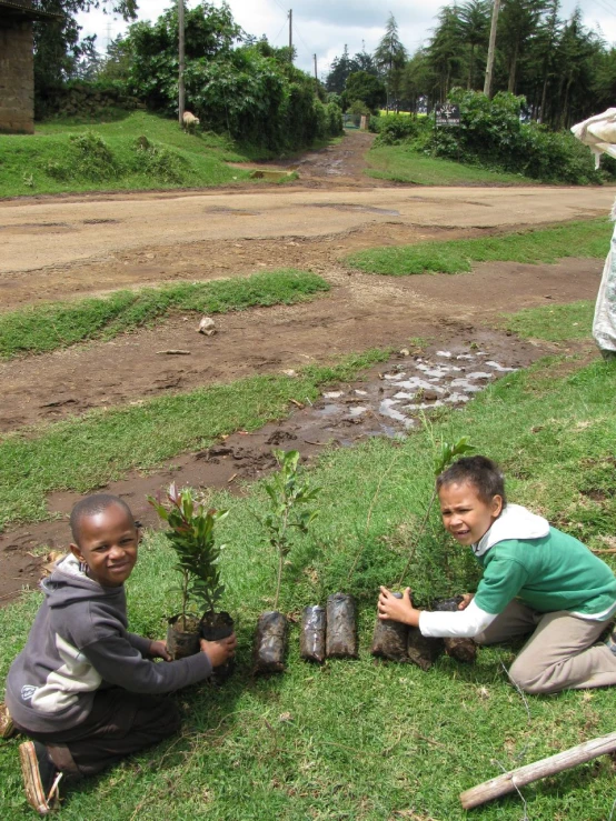 two people are planting trees on the grass