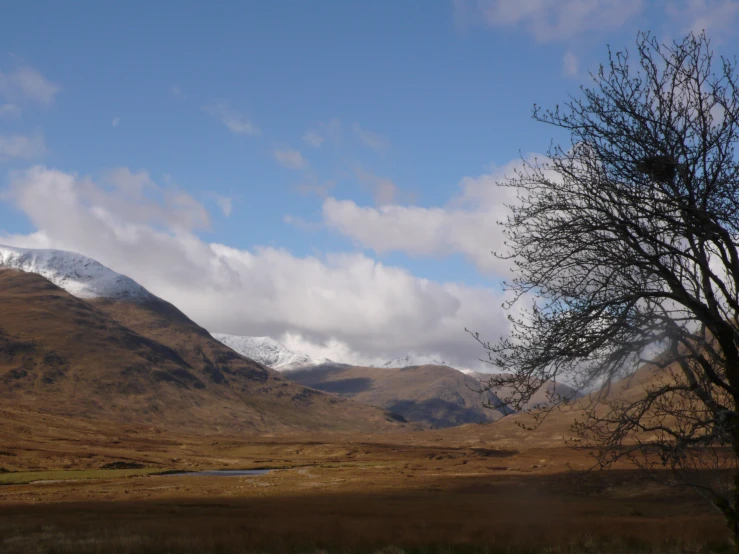 the mountain is filled with a lake and barren trees