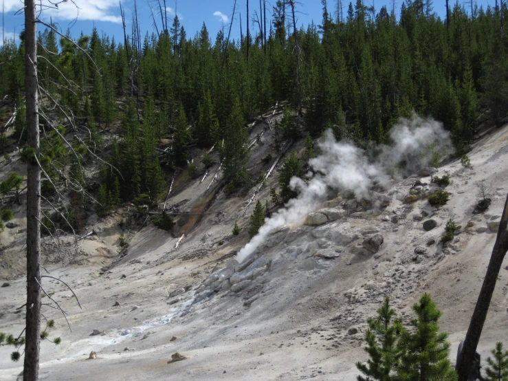 a steamy looking area with trees around it