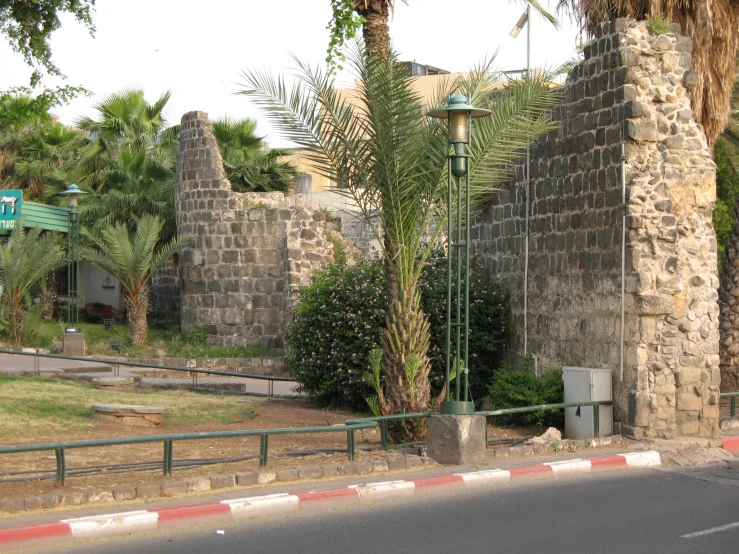 the stone wall and the palm trees are behind the fence