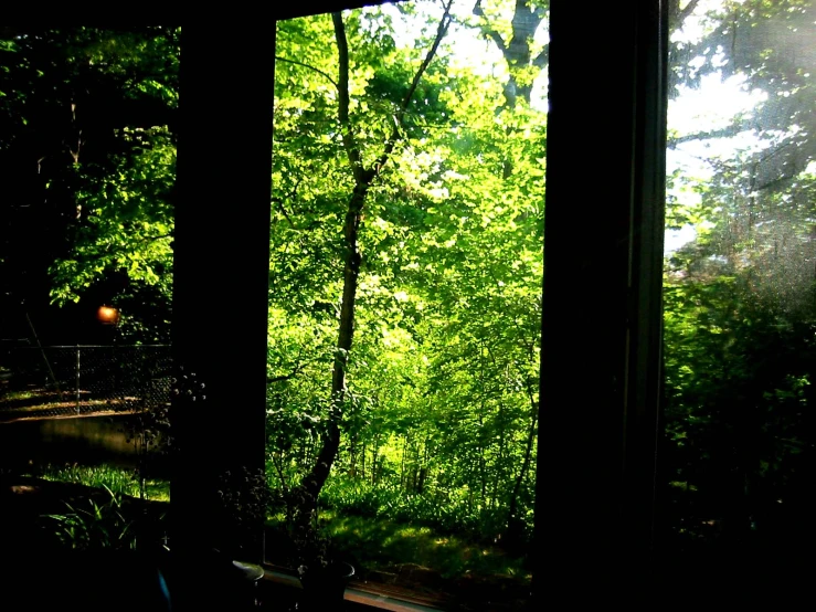 a sunny view through the open window of an outside area