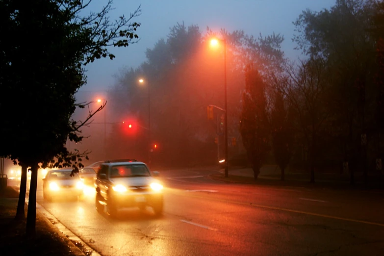 two yellow and black cars driving down the road at night