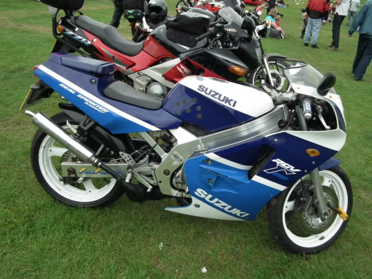 two blue and red motorcycles are parked on the grass