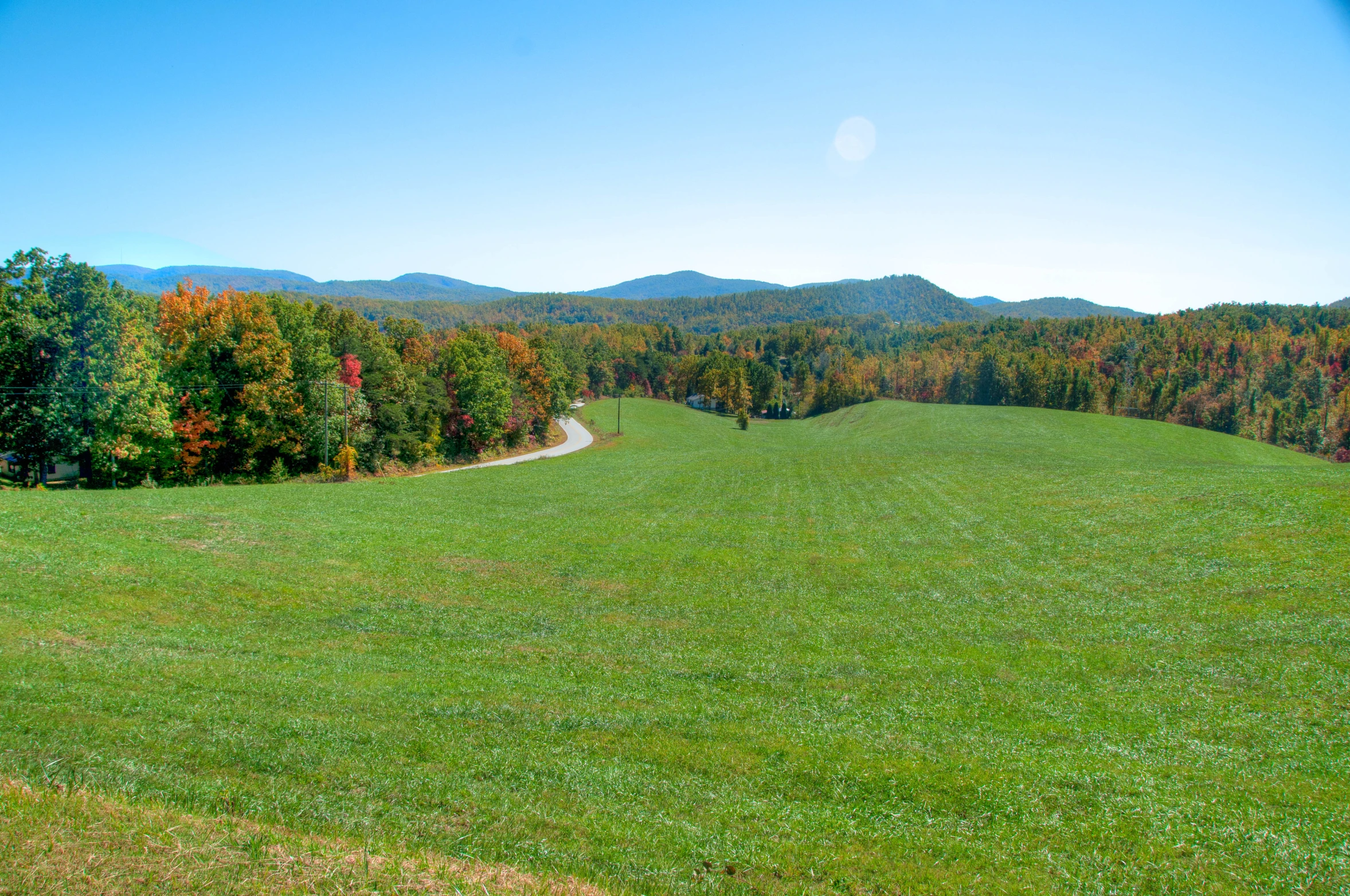 a lush green field with a curve going up the hill