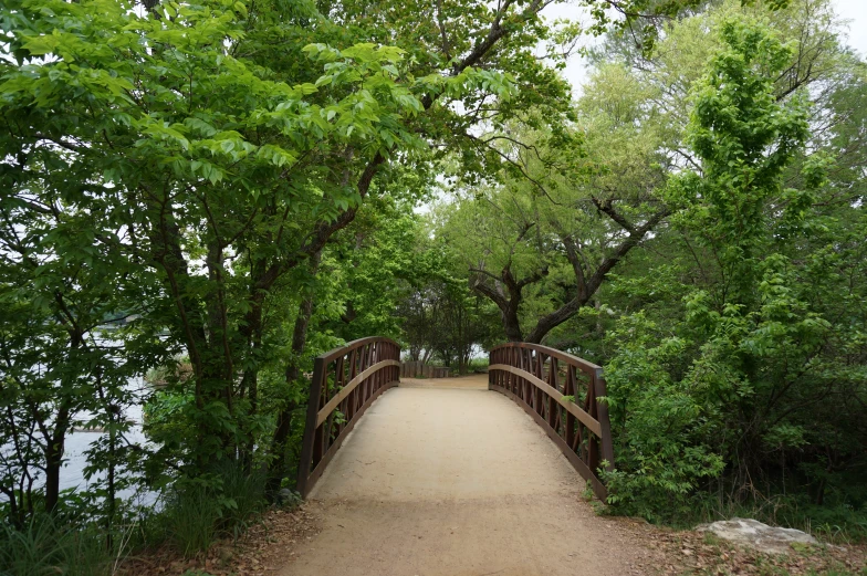 there is a small wooden bridge over the water